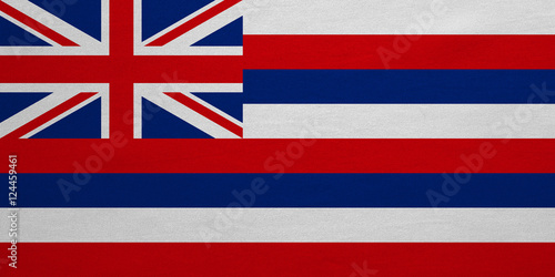 Flag of Hawaii real detailed fabric texture