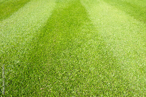 Greensward field background