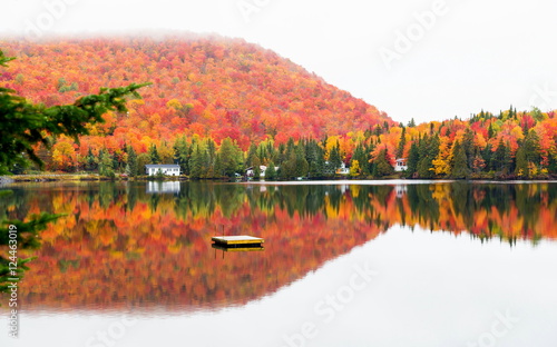 Autumn beginning to take affect on cottage country in the Quebec north. Trees turning blood red before the winter onslaught.