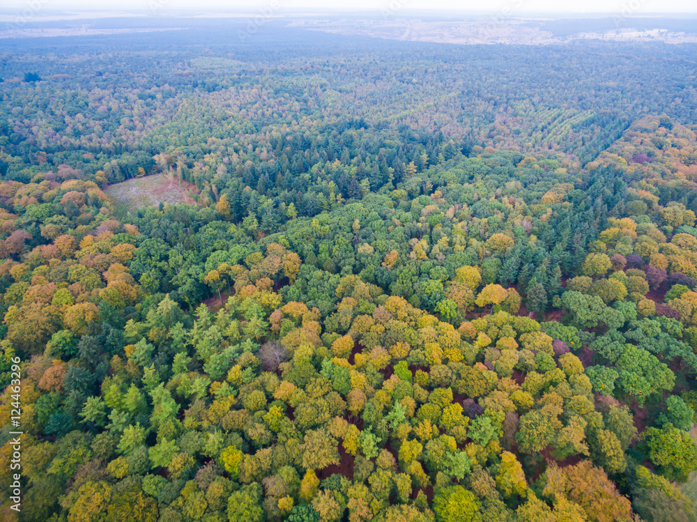 Fototapeta premium Aerial forest and fields view in Netherlands at autumn season