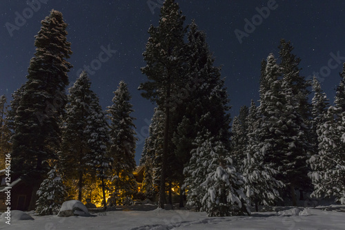 Cabin in the Winter Woods photo