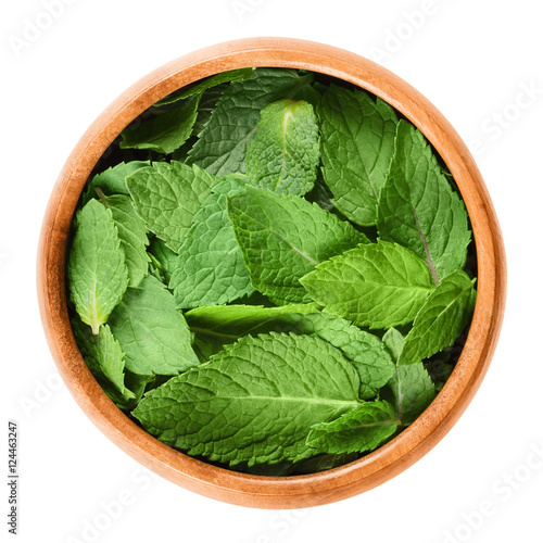 Fresh peppermint leaves in a wooden bowl on white background. Green Mentha piperita, an edible herb. Mint flavor is used for ice cream, cocktails and toothpaste. Isolated macro food photo close up.