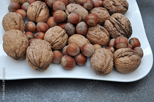 walnuts and hazelnuts autumn