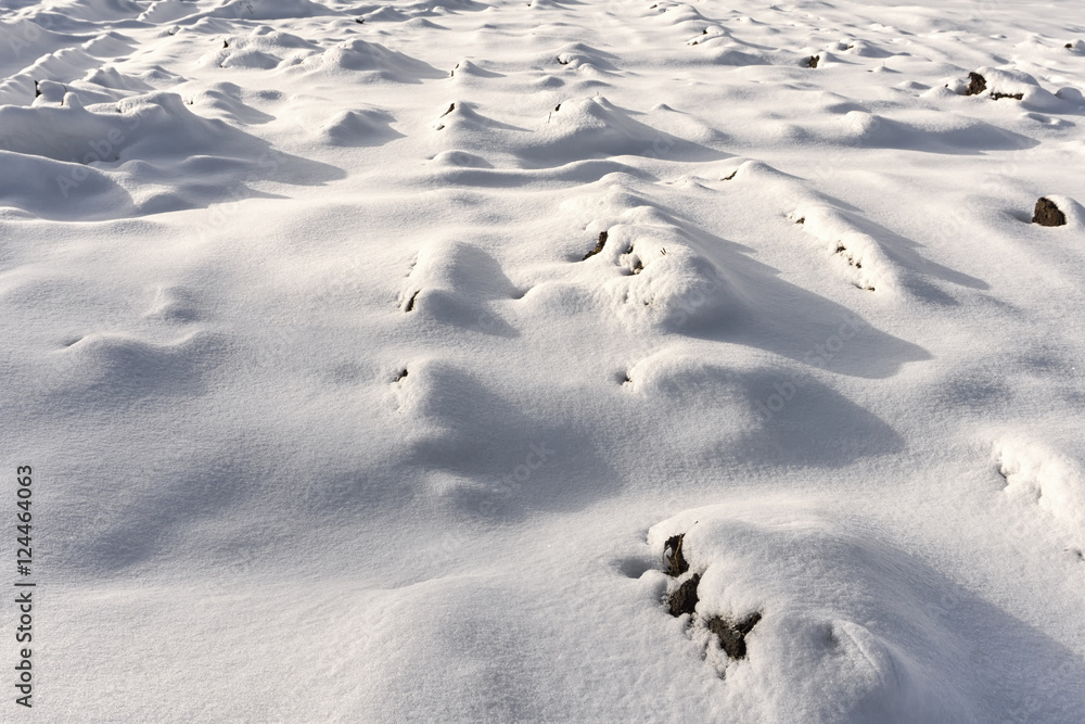 Texture of the snow cover on the meadow or field on a sunny day. Texture of the snow cover on the meadow or field on a sunny day.