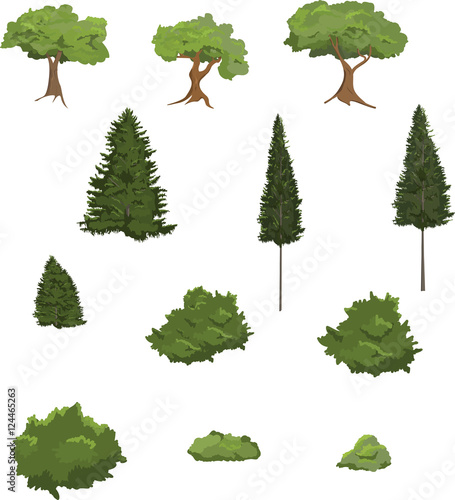 Vector illustrations of various trees and shrubs.