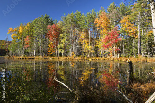 Fototapeta Naklejka Na Ścianę i Meble -  Fall foliage and reflections in Plymouth, New Hampshire.