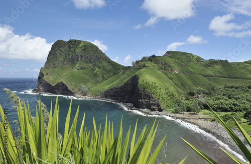 Kahakuloa Bay in Maui, Hawaii including Kahakuloa Head, with green plants in foreground