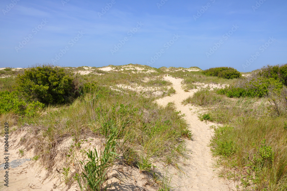 Sand Dune in Cape Hatteras National Seashore, on Hatteras Island, North Carolina, USA