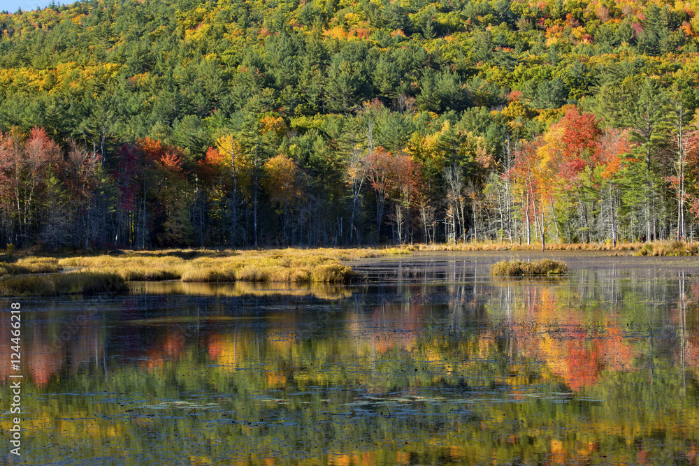 Fall foliage reflected in water of bog in New Hampshire. Fall foliage reflected in water of bog in New Hampshire.