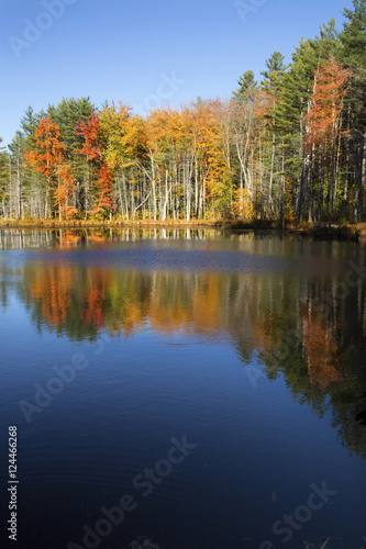 Fall foliage reflected in water at Quincy Bog.