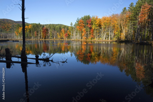 Fall foliage reflected in water of bog in New Hampshire. photo