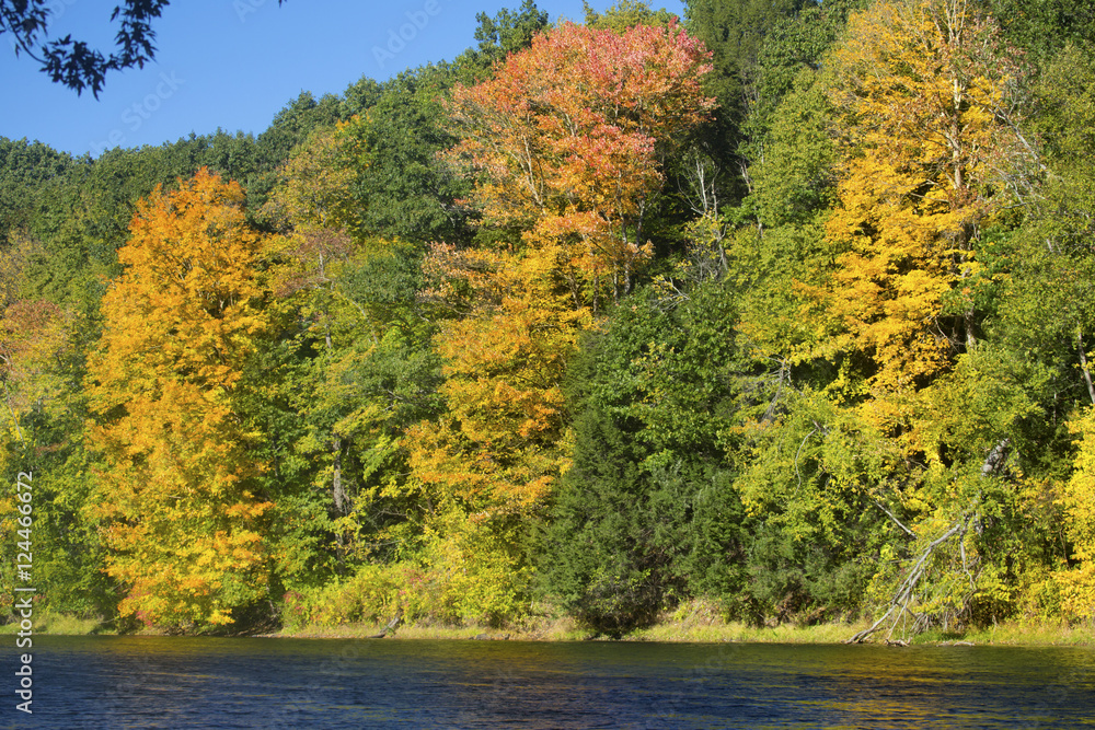 Fall foliage on the Westfield River, Massachusetts. Fall foliage on the Westfield River, Massachusetts.