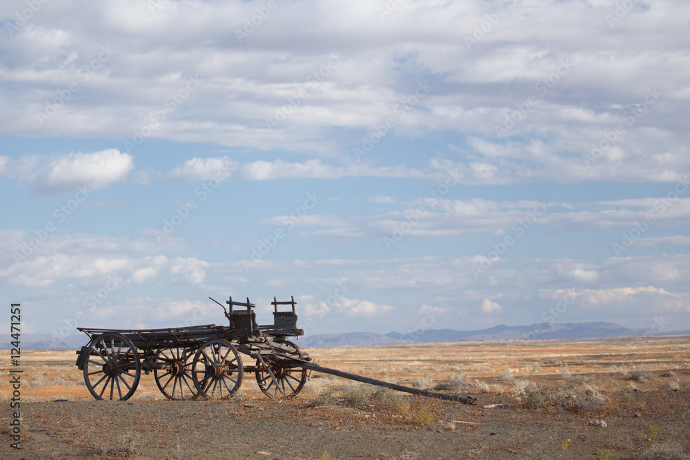 Fototapeta premium Ox wagon