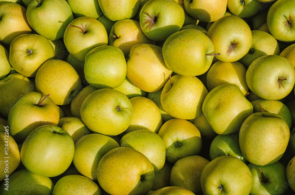 yellow and green apples
