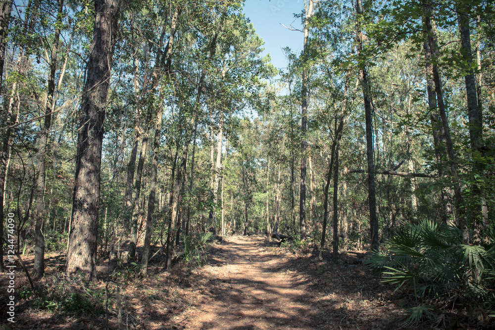 Wormsloe State Historic Site Wormsloe State Historic Site