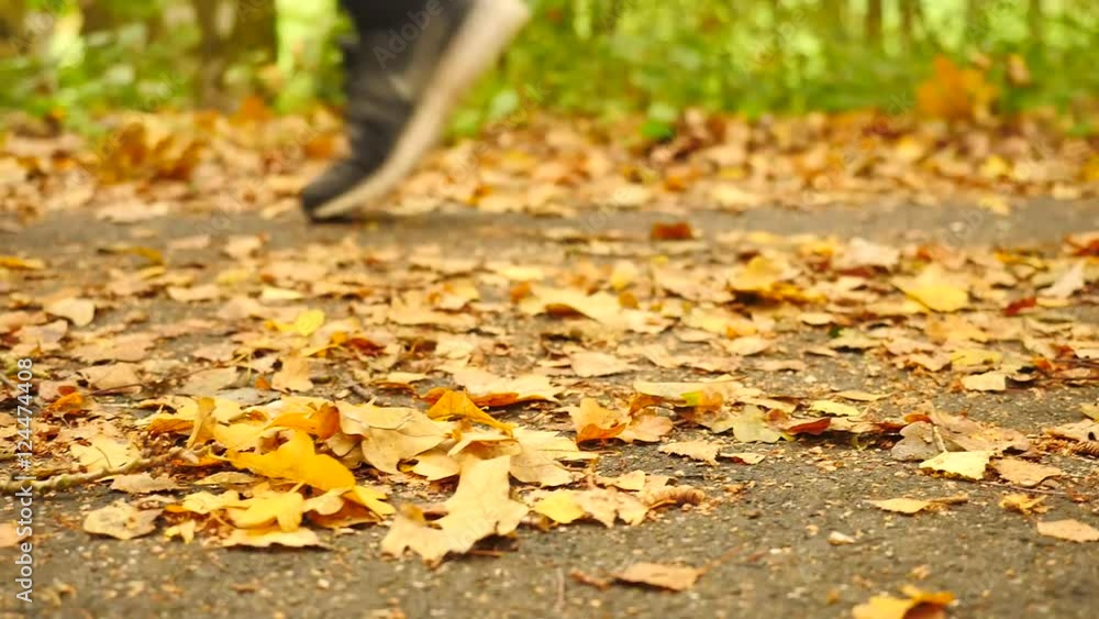 Pathway in park, birch, beeches and maples leaves on the ground. Running shoes run in background. Slow slider controled camera movement Pathway in park, birch, beeches and maples leaves on the ground. Running shoes run in background. Slow slider controled camera movement