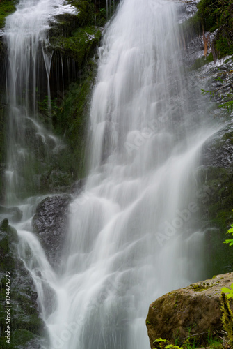 Quinalt Valley © John