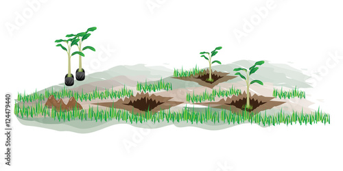 small banana plant vector design