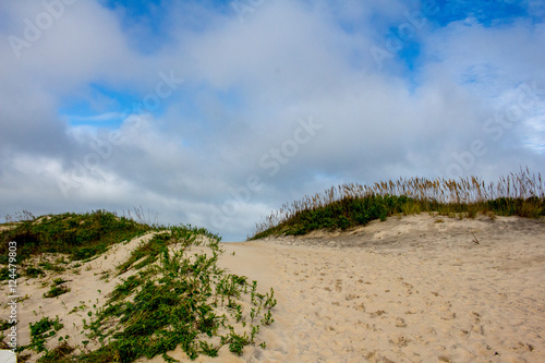 sand dunes and grass