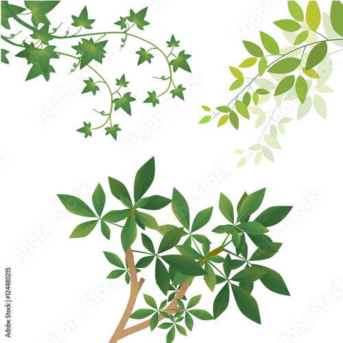 Leaf icon vector illustration nature