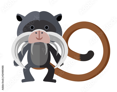 tamarin emperor monkey