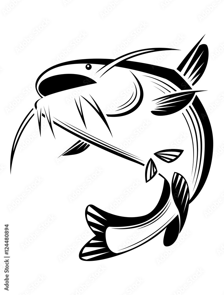 Obraz premium graphic catfish, vector
