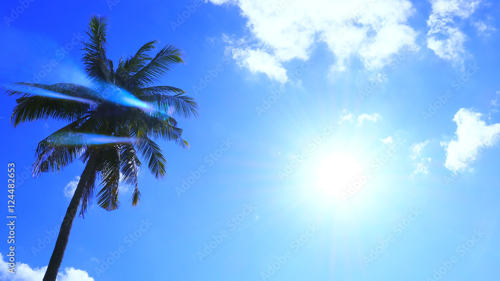 Silhouette Sunshine and coconut tree in sky blue have cloud