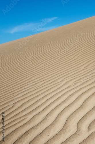 Sand Dunes 8