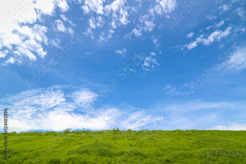 Glade green grass under the blue sky