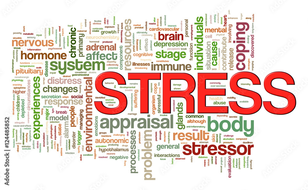 Word tags of stress