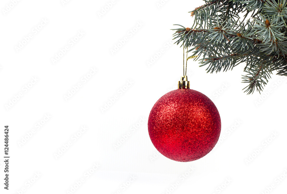Christmas ball on a branch on a white background Christmas ball on a branch on a white background