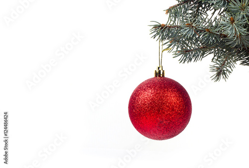 Christmas ball on a branch on a white background
