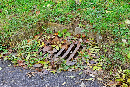 Kanaldeckel mit Herbstlaub