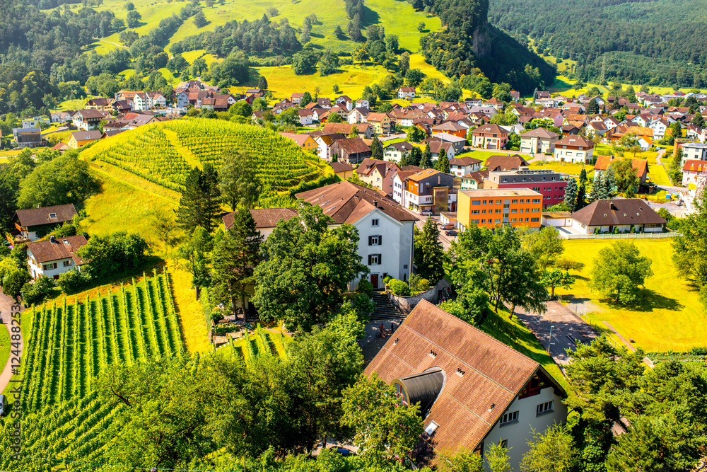 Fotomurale, carta da parati Landscape view on Balzers village in Liechtenstein, rh2010 | Europosters