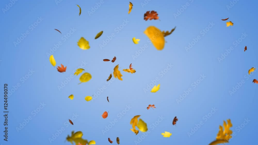 Loopable autumn leaves Loopable autumn leaves