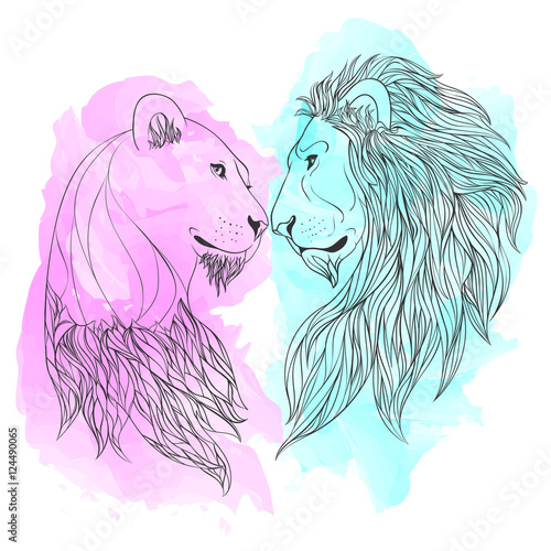 Fototapeta Naklejka Na Ścianę i Meble -  Lion and Lioness nosing on watercolor background. Zen vector