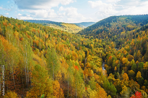 Fototapeta Naklejka Na Ścianę i Meble -  beautifull autumn landscape