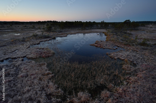 Bog at twilight  before sunrise  wild nature  frosty ground