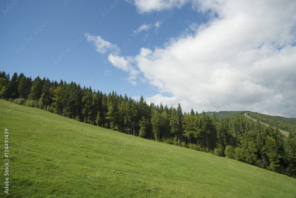 autumn morning in the mountains. Carpathian, Ukraine, Europe. autumn morning in the mountains. Carpathian, Ukraine, Europe.