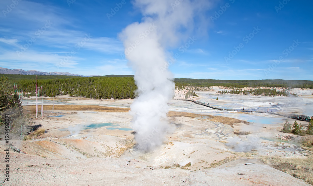 Norris geyser basin