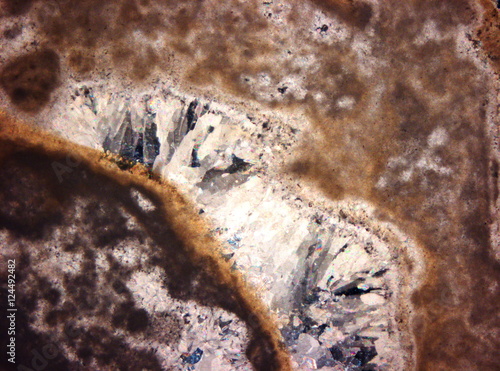 Micro-photo of geological thin section photo