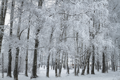 winter park
