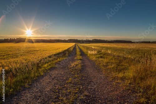 Old gravel road on fields going to the sunrise