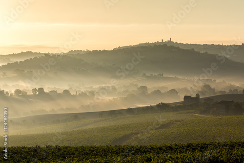 Paesaggio autunnale con vigneti e colline della regione Marche all'alba