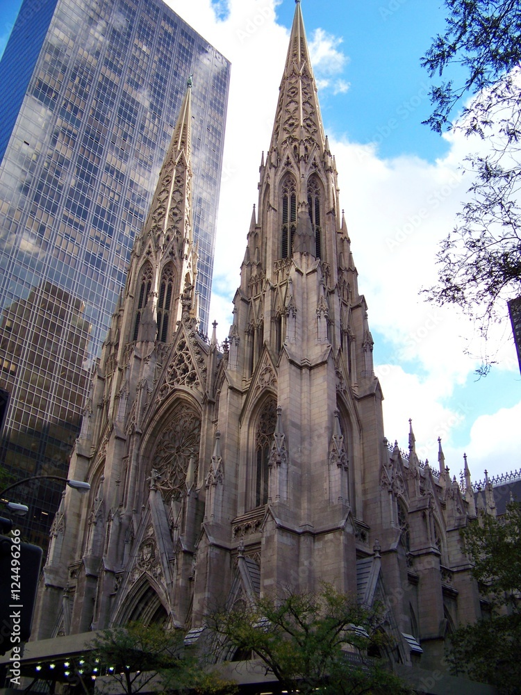 CATEDRAL DE SAN PATRICIO EN NUEVA YORK CATEDRAL DE SAN PATRICIO EN NUEVA YORK