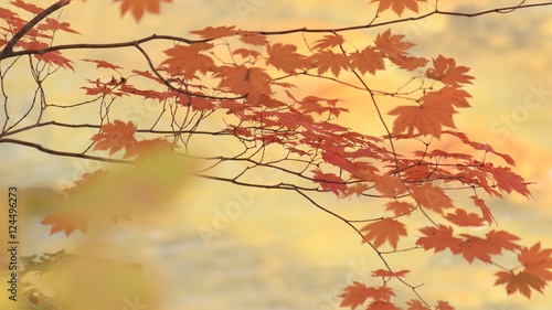 日本の秋 支笏洞爺国立公園 北湯沢温泉