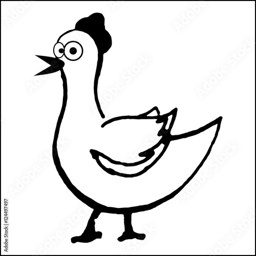 Profile of chicken