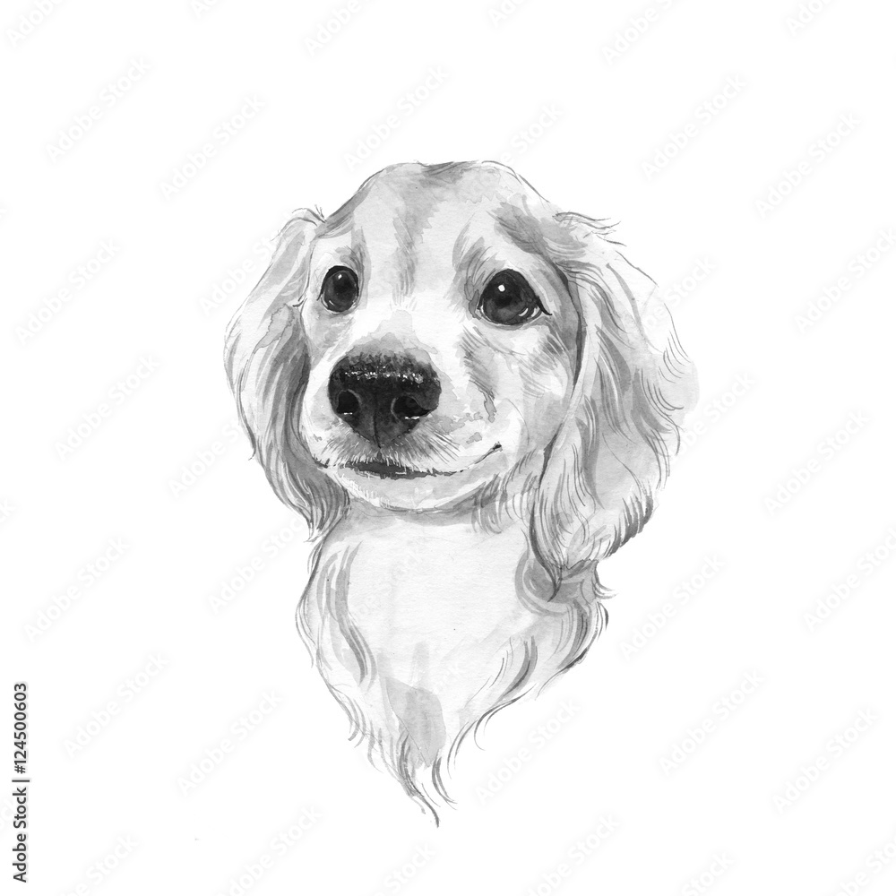 Custom Pet Portrait Drawing - 9