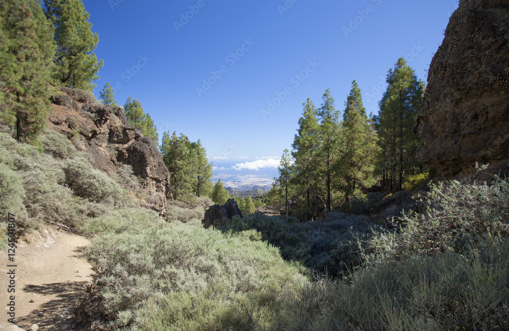 Gran Canaria, hiking path Cruz de Tejeda - Teror Gran Canaria, hiking path Cruz de Tejeda - Teror