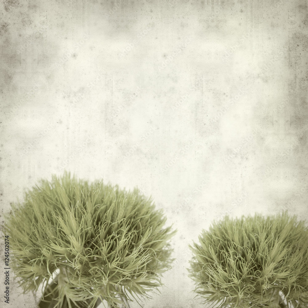 textured old paper background textured old paper background